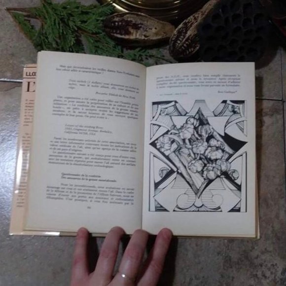 Vintage Book, L'Incroyable Histoire de L'Ail, Recipes Book - Picture 7 of 8